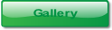 Gallery.